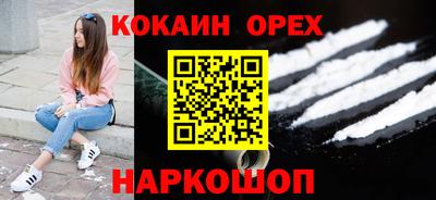 индика Новозыбков