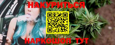 индика Новозыбков