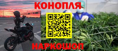 прущие грибы Новодвинск