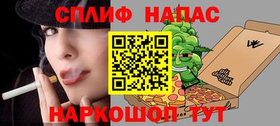 индика Новозыбков
