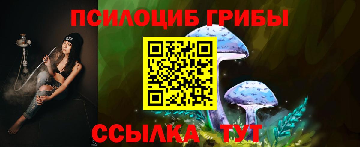 Псилоцибиновые грибы GOLDEN TEACHER Сочи
